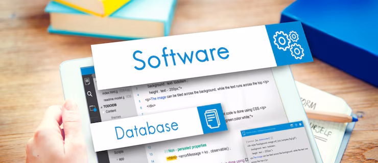 Software Development in Texas